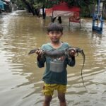 Warga Kranji Bekasi Tangkap Ular Sanca dan Biawak di Tengah Banjir