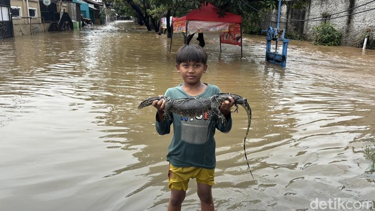 Warga Kranji Bekasi Tangkap Ular Sanca dan Biawak di Tengah Banjir