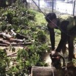 Pohon Tumbang Timpa Rumah Dinas Kodim di Pulogebang, Petugas Gabungan Berhasil Evakuasi