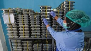 109 Siswa SMAN 2 Kudus Diduga Keracunan Makanan Bergizi, Bupati Evaluasi Program MBG