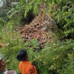 Tanah Bergerak di Sukamakmur Bogor: 60 Keluarga Terdampak, Pemkab Cari Solusi Relokasi