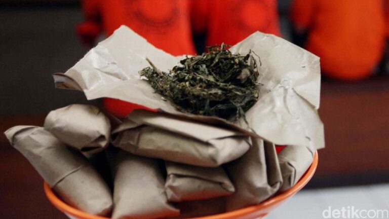 Polres Serang Ungkap Jaringan Ganja Lintas Provinsi, Sita 14 Kg Barang Bukti